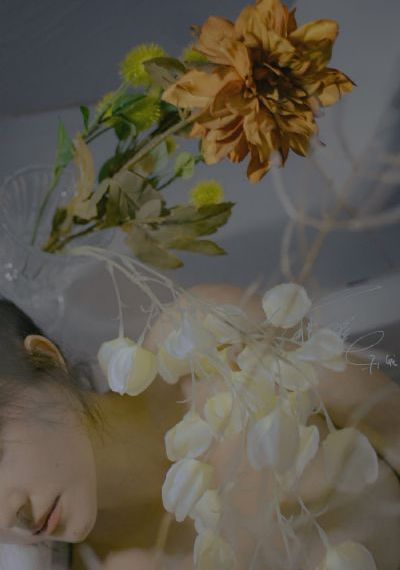 完整版白雪公主_青苹果乐园免费高清观看